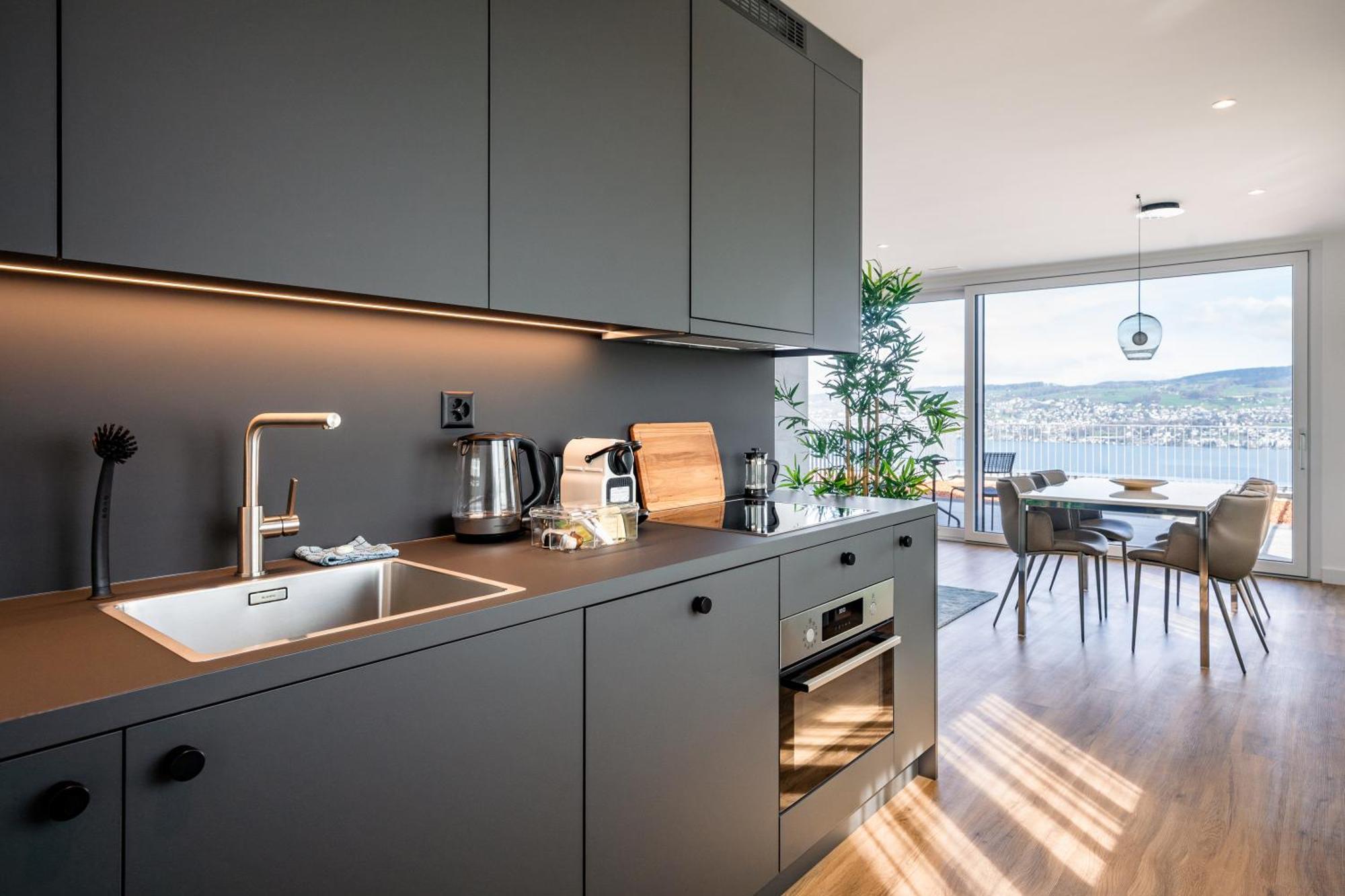 Aestate Living Lakeview In Horgen Zuerich Zug Pfaeffikon Exteriör bild